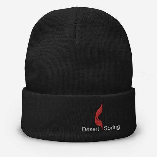 Embroidered DSUMC Beanie